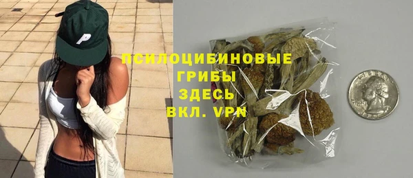 МДПВ Абинск