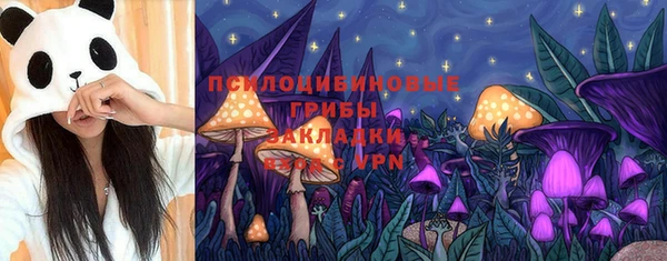 МДПВ Абинск