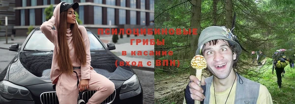 МДПВ Абинск