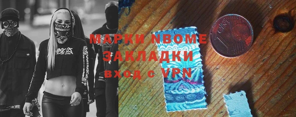 прущие грибы Покровск