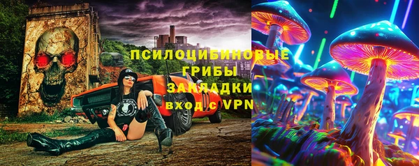 сатива Абаза